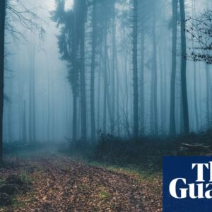 We Spread by Iain Reid review – a fine piece of weird fiction